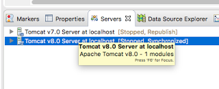tomcat2
